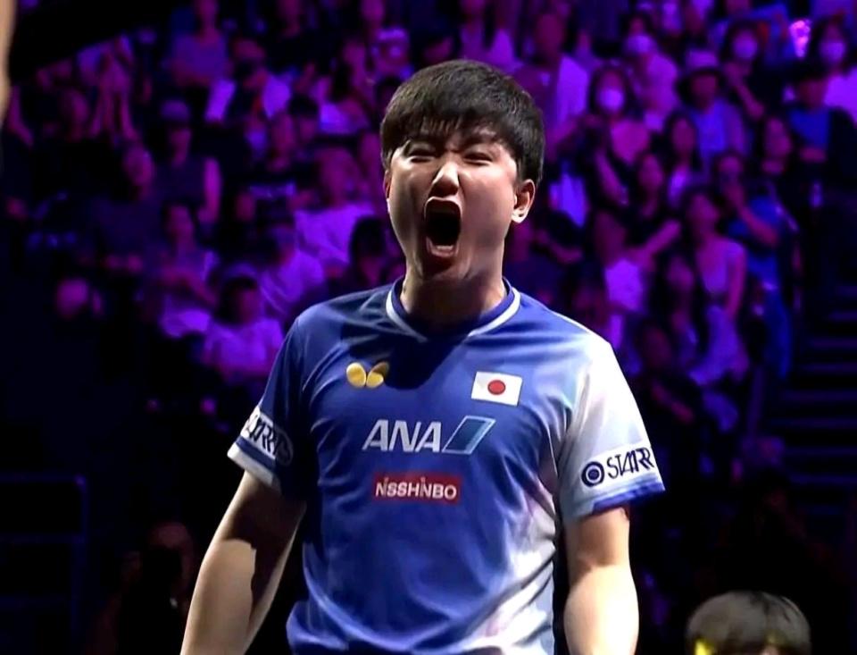 net, 战中, 的球 net, 战中, 的球